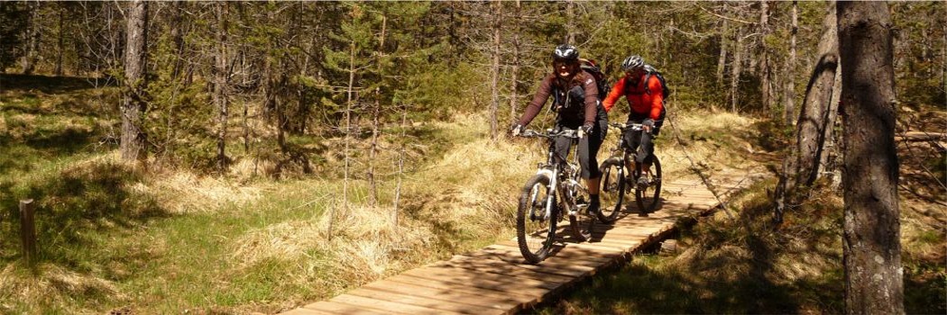 Mountainbike offerta Renon in Alto Adige 